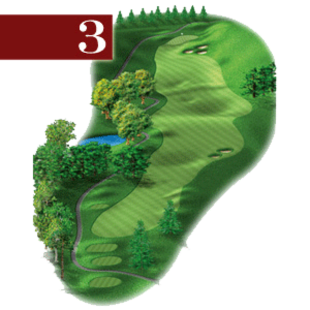 woodstone hole 3