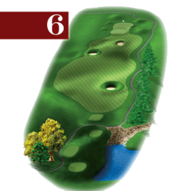 woodstone hole 6