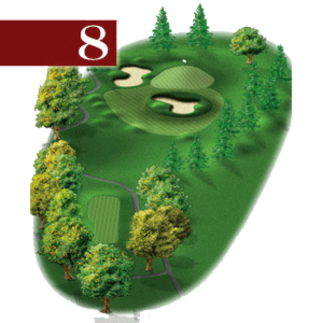 woodstone hole 8