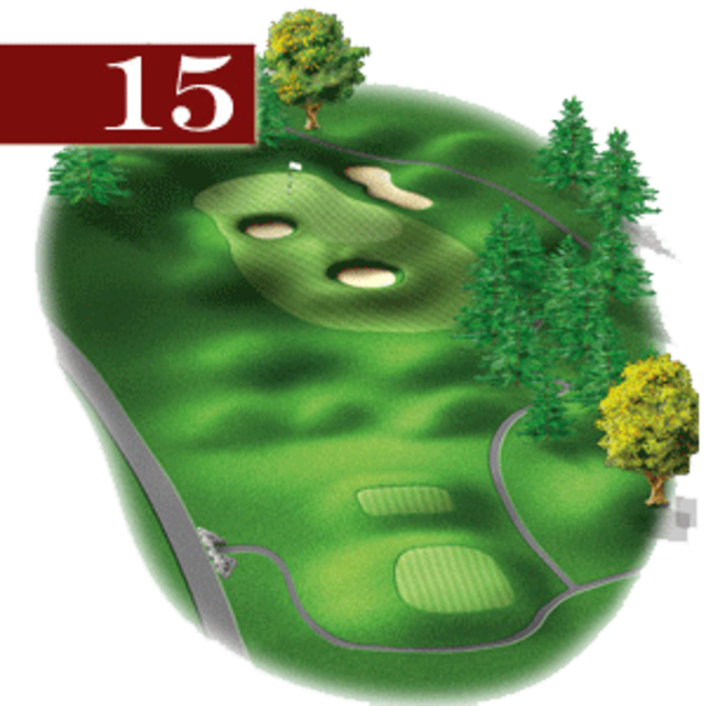 woodstone hole 15