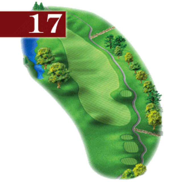 woodstone hole 17