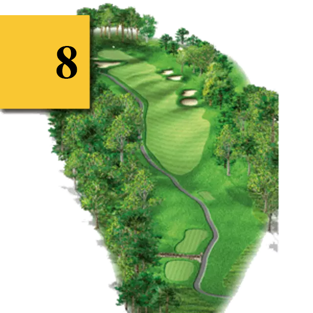 mtn greens hole 8